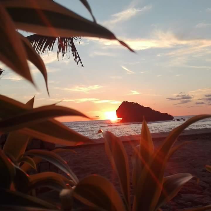 ホテル Arrys Watukarung Surfcamp Kalak エクステリア 写真